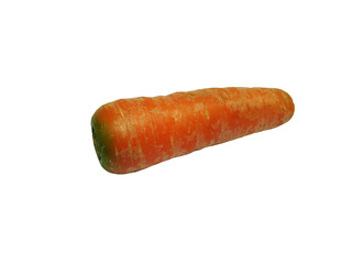 carrot