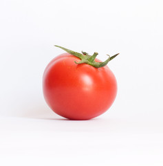 closeup of one red tomato on white background
