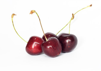 sweet cherry