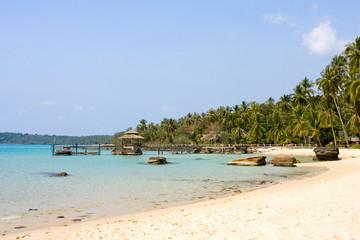 Fototapeta na wymiar Tropical beach with palm trees on the sand near the sea.