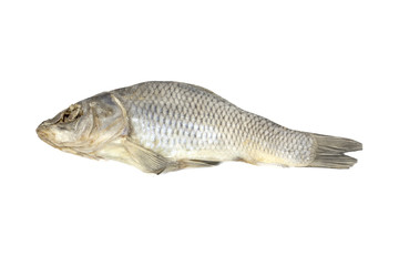 Dried fish allocated on a white background