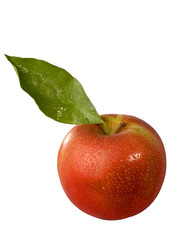 apple.