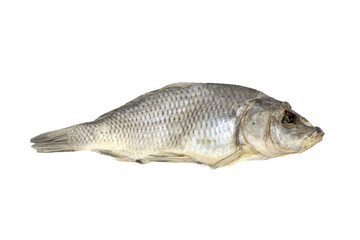 Dried fish allocated on a white background