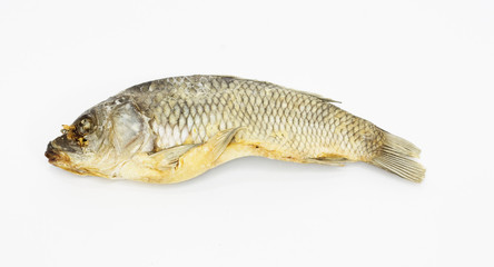 dried fish isolated on white background