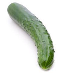 Salatgurke auf weiß