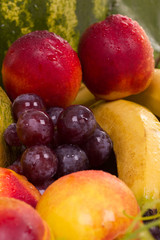 fresh fruit
