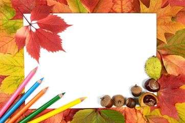 Naklejka na ściany i meble autumn leaves pencils and sheet of paper