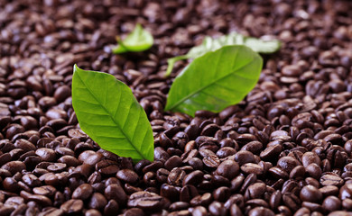 Coffee beans