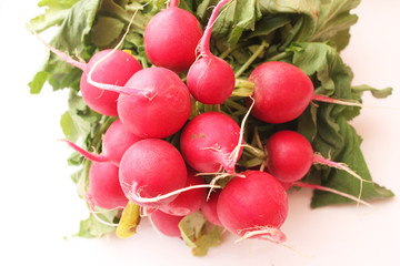 Radieschen