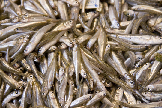 poissons de fritures