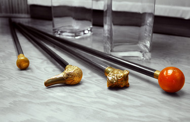 Walking sticks