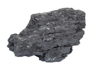 Coal
