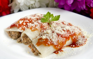 Ground Beef Cannelloni