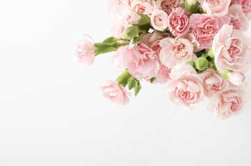 カーネーション