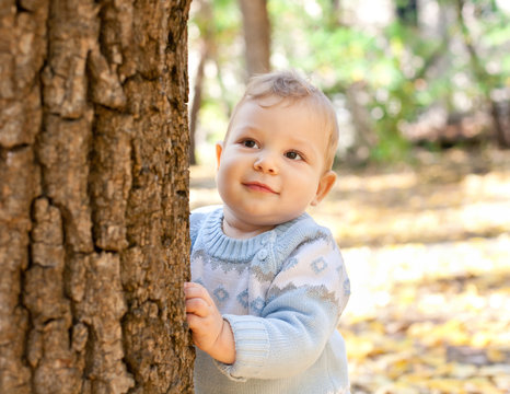 Baby Boy Standing Near Tree In Autumn Park