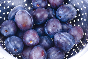 Blue plums in colander