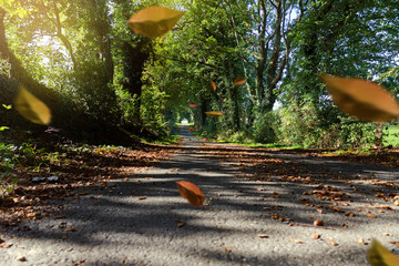 Country Lane © lassedesignen