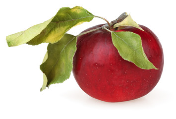 Red apple with leaves