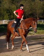 Obraz premium Girl riding horse
