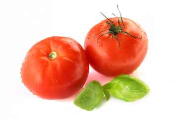 Isolated vegetables - Tomato