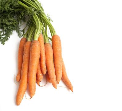 fresh carrots and empty space for your text