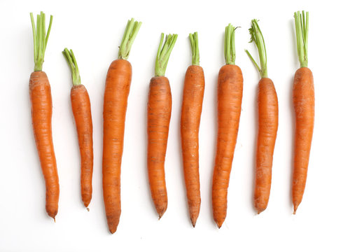 carrots arranged by size