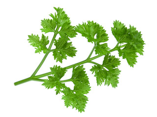 Parsley isolated on white background