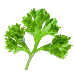 Parsley isolated on white background