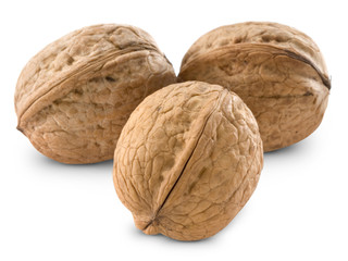 Walnut isolated on white background  + Clipping Path