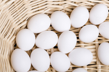 Eggs