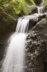 Alles im Fluss