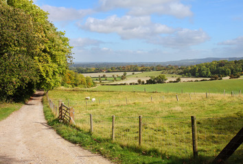 An English Rural Landscape in early Autumn