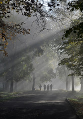 people on the foggy road