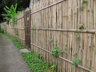 Old wood door and bamboo fence in rural area
