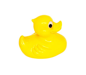 Plastic yellow duck toy