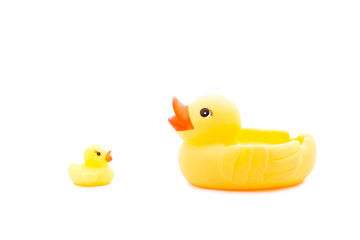 Two yellow toy duck.