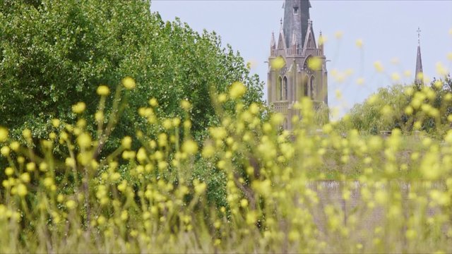Flowers and church in Holland