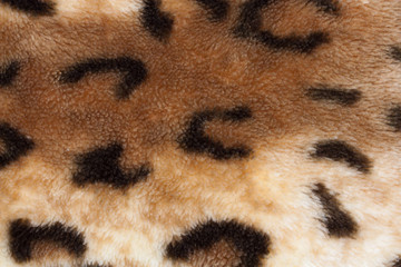 abstract texture of leopard skin