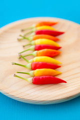 colorful hot chili peppers in a row on plate