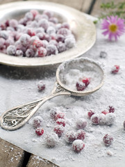 Obraz na płótnie Canvas cranberry in sugar
