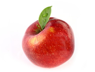 Fresh Red Apple