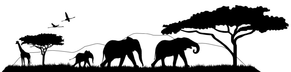 Savannen Silhouette Landschaft Tiere © T. Michel