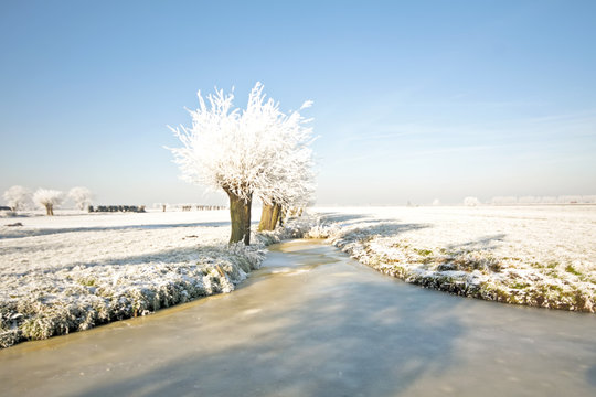 Typical Dutch Landscape In Winter In The Netherlands