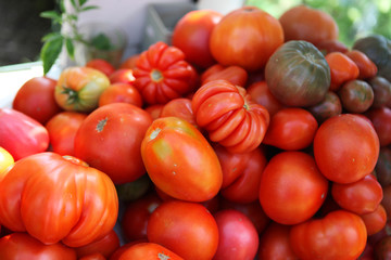 heirloom tomatoes