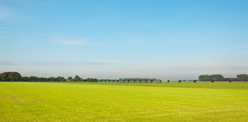 Colorful sunny landscape in the Netherlands