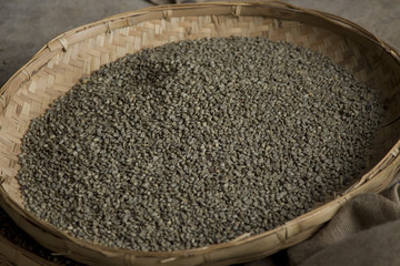 Unripened green coffee beans