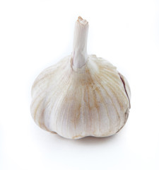 White garlic over white background