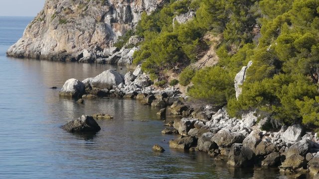 Mar plateado