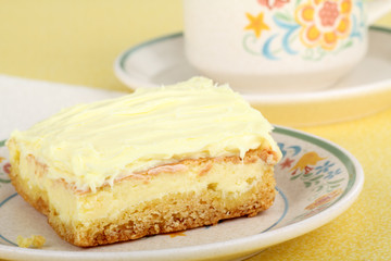 Lemon Square Closeup