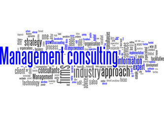Management Consulting